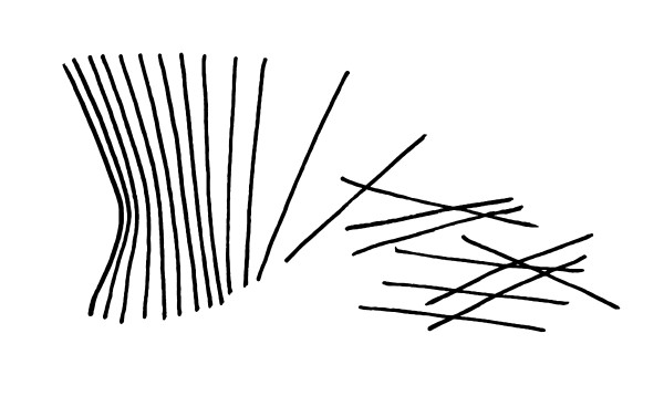 Illustration von Martina Wember: