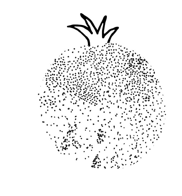 Illustration von Martina Wember: Die Farbe des Granatapfels