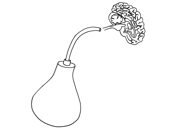 Illustration von Martina Wember: