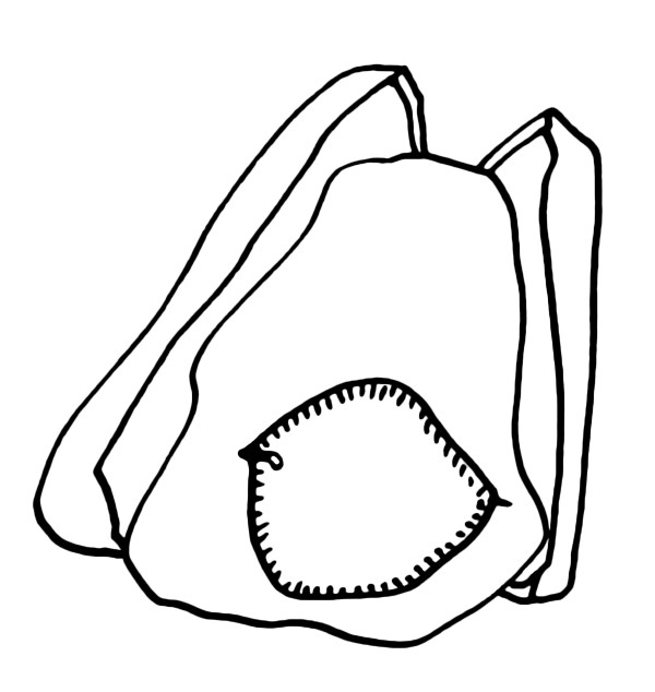 Illustration von Martina Wember: